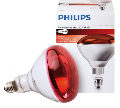 Philips Infrared Lamp BULB-150W